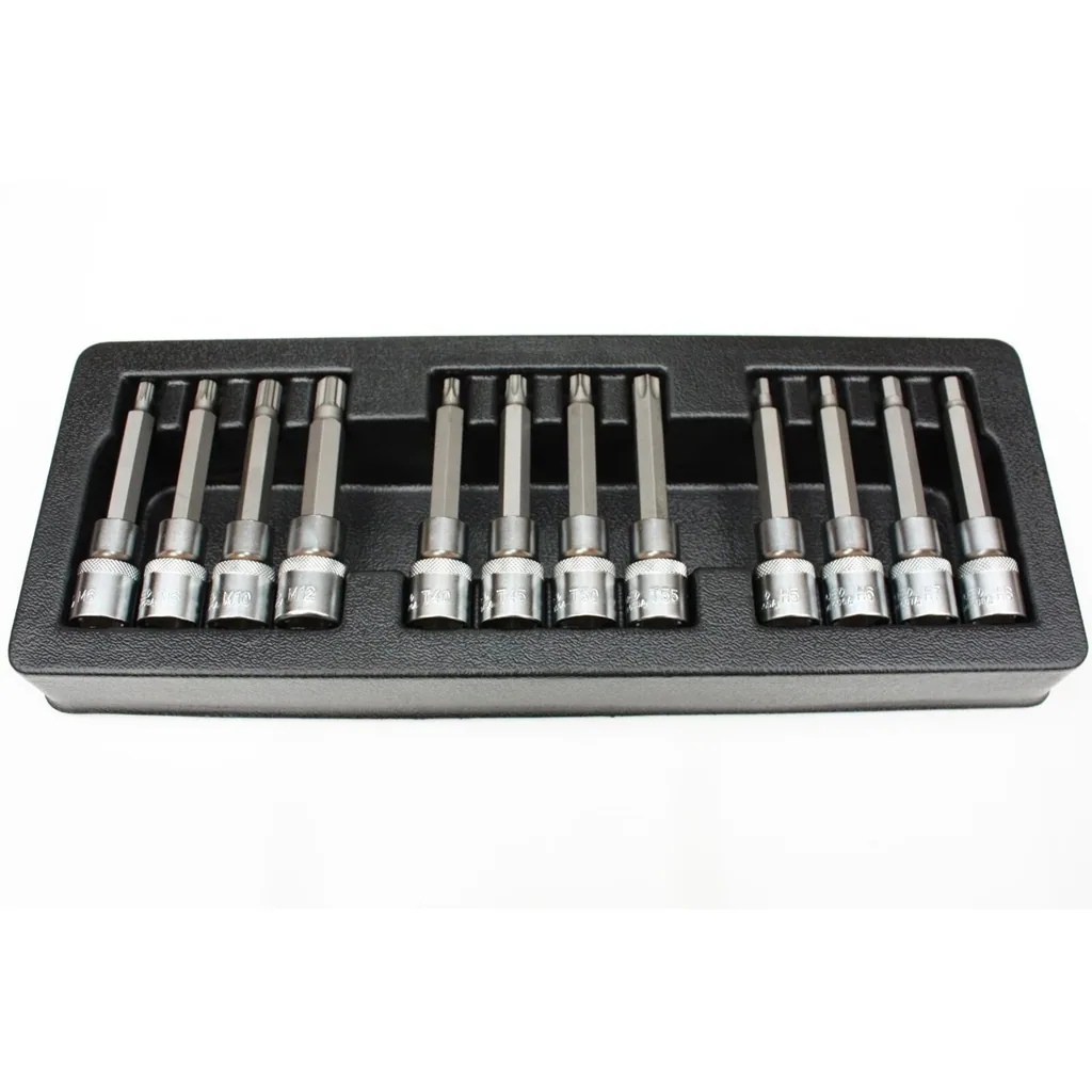 Bit Set, Stecknuss Set, 12-teilig, H5-H8, T40-T55, M6-M12, S2 Stahl, Industriequalität